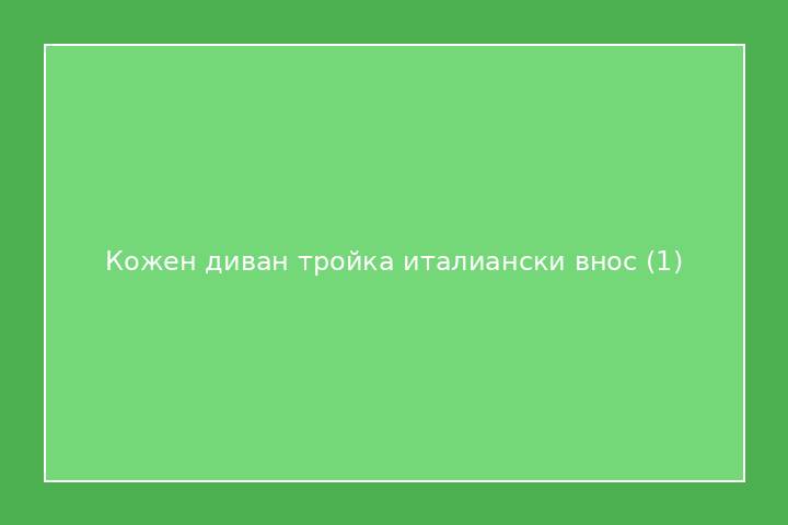 Кожен диван тройка италиански внос