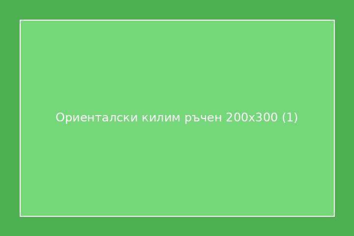 Ориенталски килим ръчен 200x300