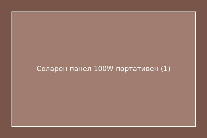 Соларен панел 100W портативен