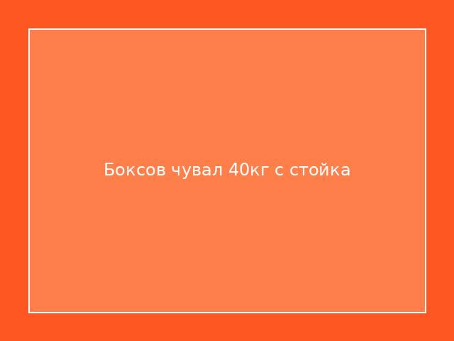 Боксов чувал 40кг с стойка