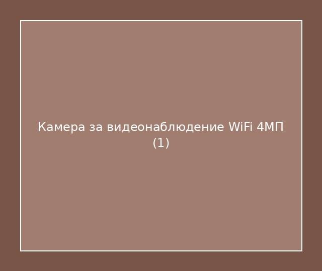 Камера за видеонаблюдение WiFi 4МП