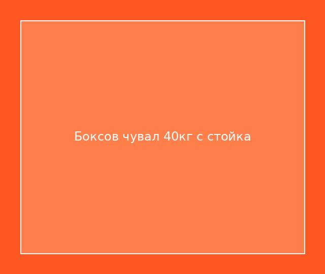 Боксов чувал 40кг с стойка