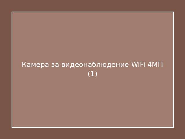 Камера за видеонаблюдение WiFi 4МП