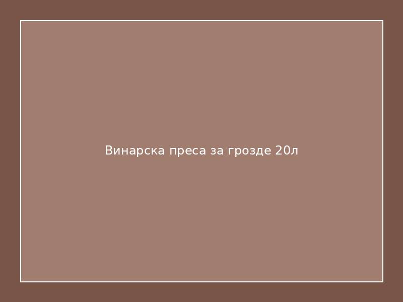 Винарска преса за грозде 20л