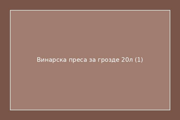 Винарска преса за грозде 20л