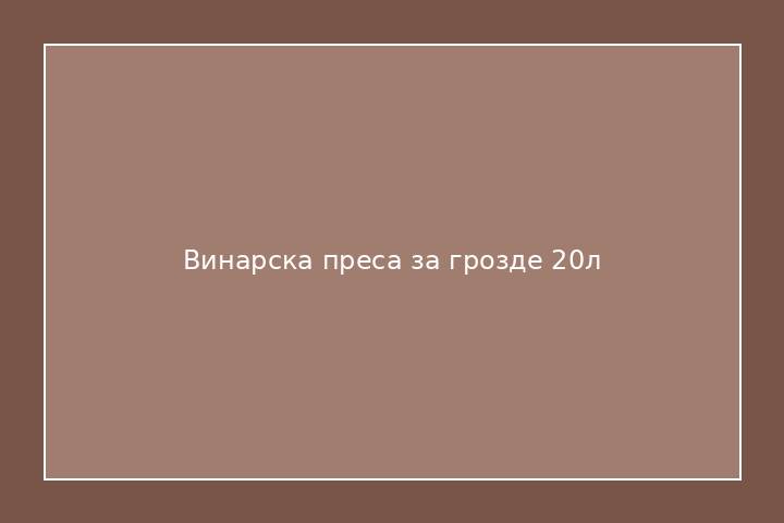 Винарска преса за грозде 20л
