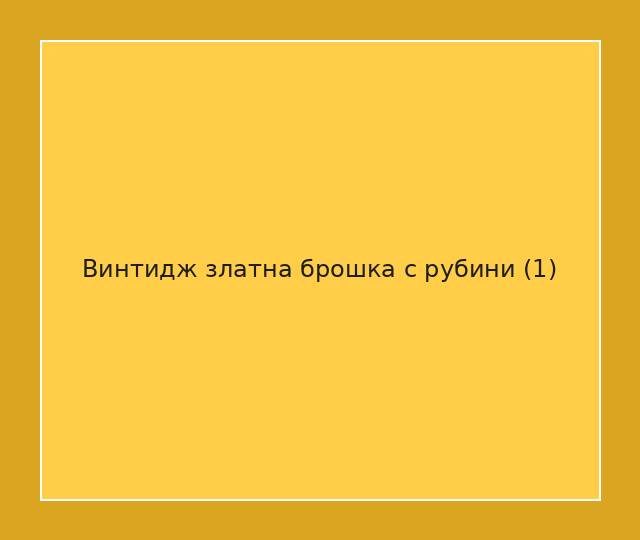 Винтидж златна брошка с рубини