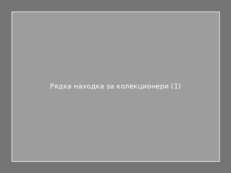 Рядка находка за колекционери