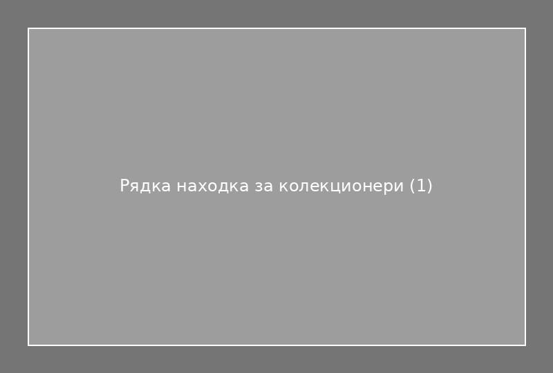 Рядка находка за колекционери