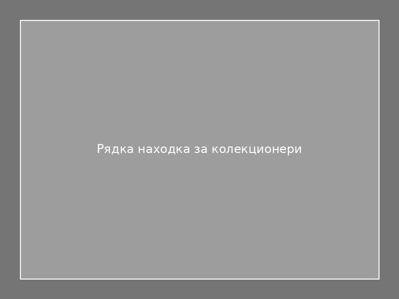 Рядка находка за колекционери