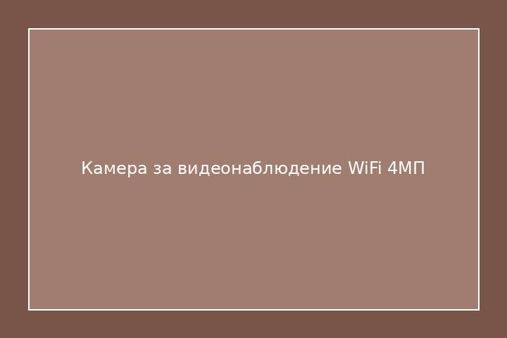 Камера за видеонаблюдение WiFi 4МП