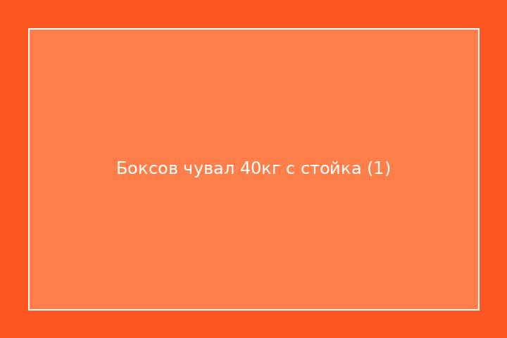 Боксов чувал 40кг с стойка