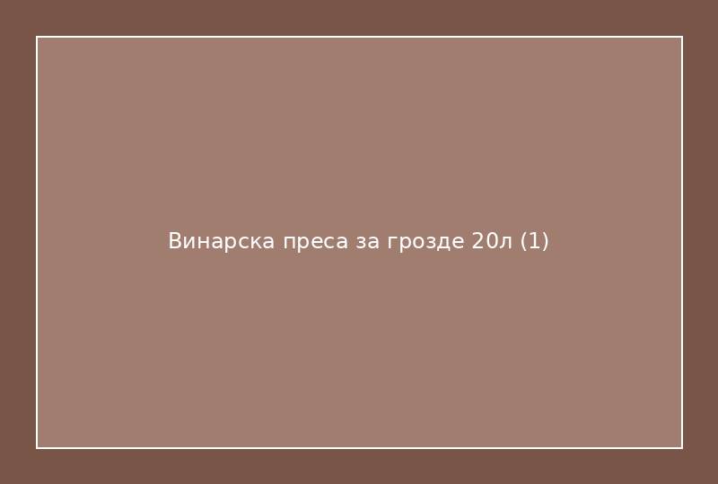 Винарска преса за грозде 20л
