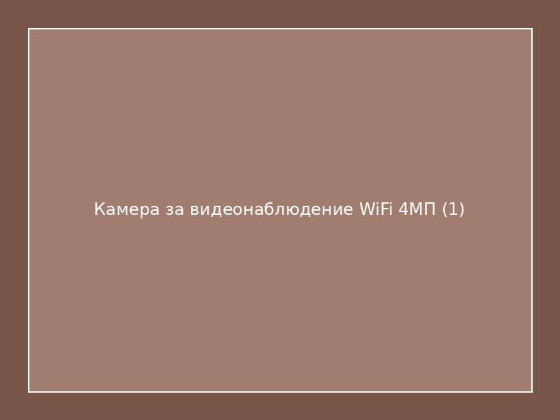 Камера за видеонаблюдение WiFi 4МП
