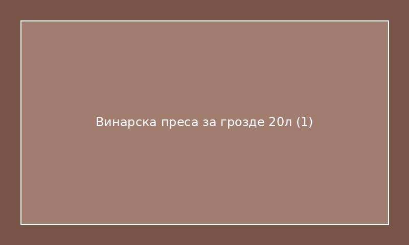 Винарска преса за грозде 20л