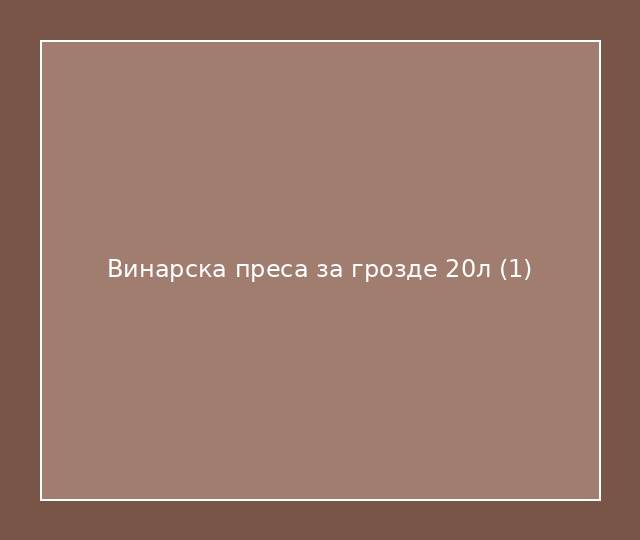 Винарска преса за грозде 20л